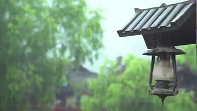 谷雨季节春雨润万物下雨空镜视频的预览图
